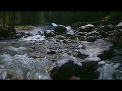 Hổ 5 trong nước